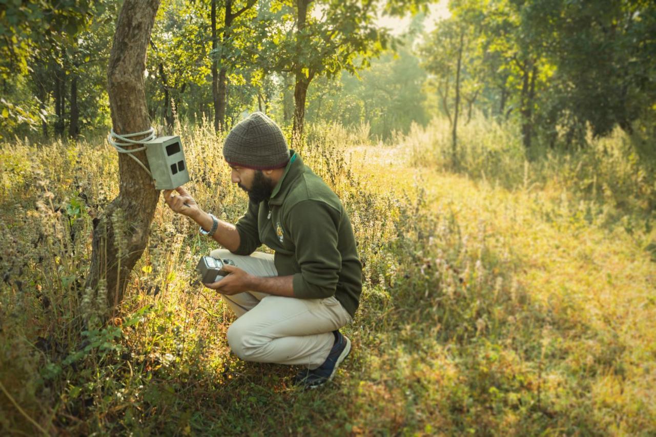 Готель Pench Jungle Camp Khawasa Екстер'єр фото